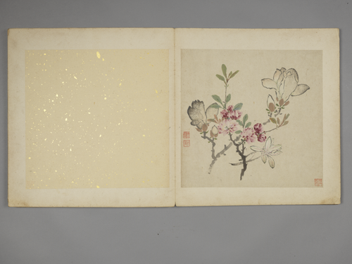 王云花果册, , Wang Yun