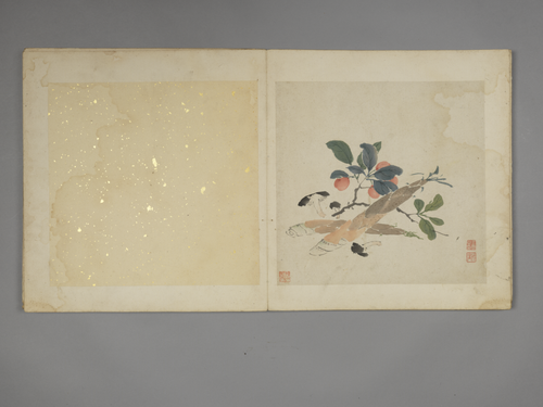 王云花果册, , Wang Yun