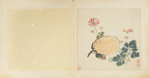 王云花果册, , Wang Yun