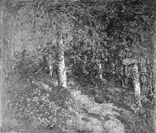 Måneskin i skoven, 1889, Viggo Christian Frederik Vilhelm Pedersen