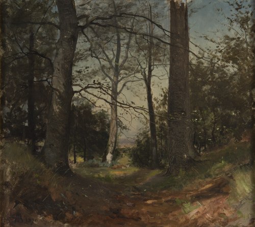 In the Forest. Motif from Stehag, Skåne. Study, 1870, Gustaf Rydberg