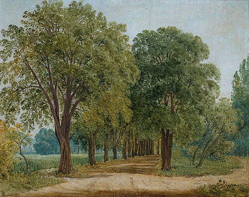 Path, 1822, Antonín Mánes