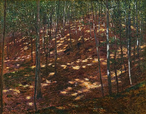 Sun in Forest, 1898, Antonín Slavíček