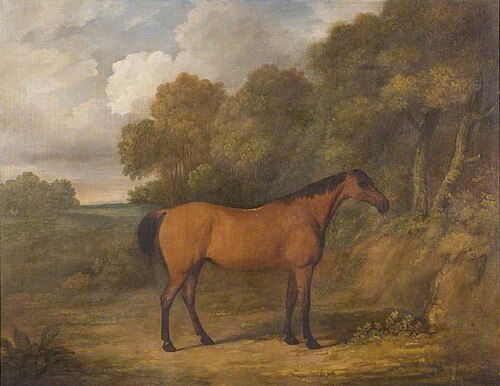 Bay Cob, 1812, James Barenger