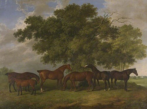 The Theobald Stud, 1825, James Barenger
