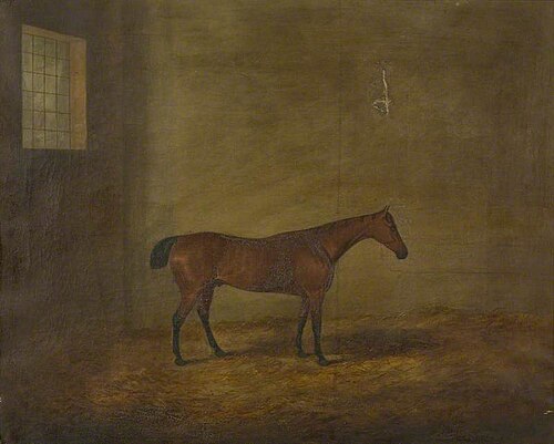 Bay Stallion in a Stable, 1820, James Barenger