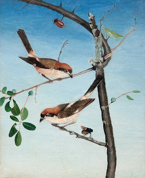 Butcher Birds, 1893, Tivadar Kosztka Csontváry