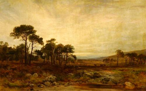 Glen Dee Deer-Forest, 1869, James Docharty