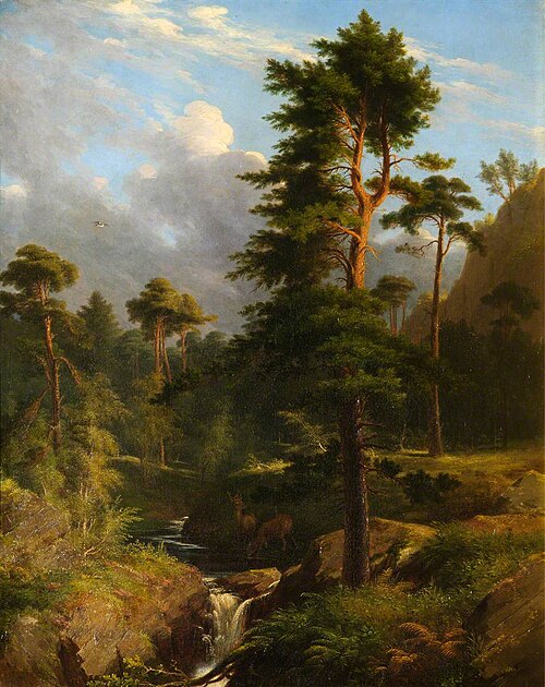 Deer Drinking at a Forest Stream, 1851, James Giles