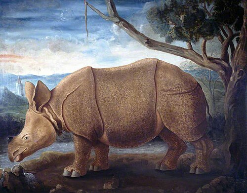 Rhinoceros, 1739, James Parsons