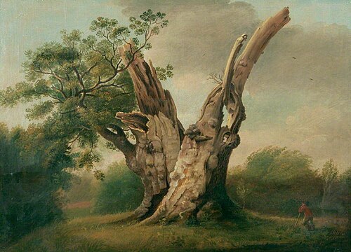 The Winfarthing Oak, 1812, James Sillett