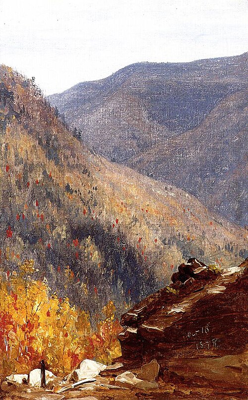 View near Kauterskill Cove, 1850, Sanford Robinson Gifford