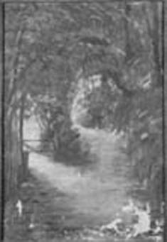 Bambual (atribuído), 1901, Eulália Nascimento Silva