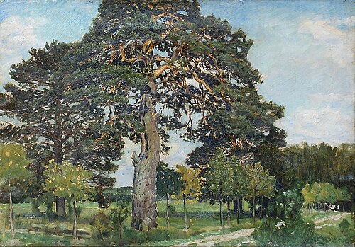 Pines, , Apollinaire Vasnetsov