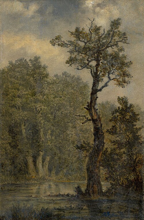 Wooded Landscape, , Carl Gustav Carus
