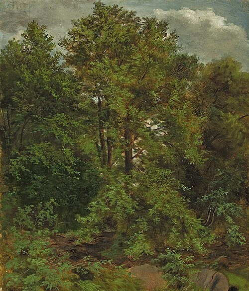 Motif from the Pillnitz Elbe island, 1830, Carl Gustav Carus