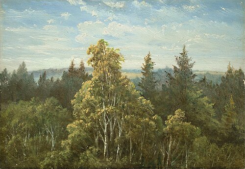 Wooded slope near Pillnitz, 1840, Carl Gustav Carus