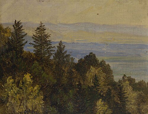 Blick über einen bewaldeten Abhang in weite Gebirgslandschaft, , Carl Gustav Carus