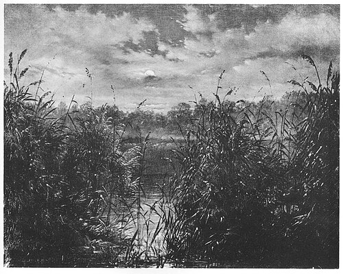 Moon night in the reeds, 1834, Carl Gustav Carus