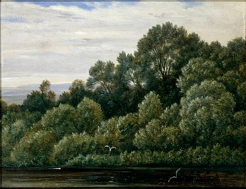Pfaueninsel near Pillnitz, 1830, Carl Gustav Carus