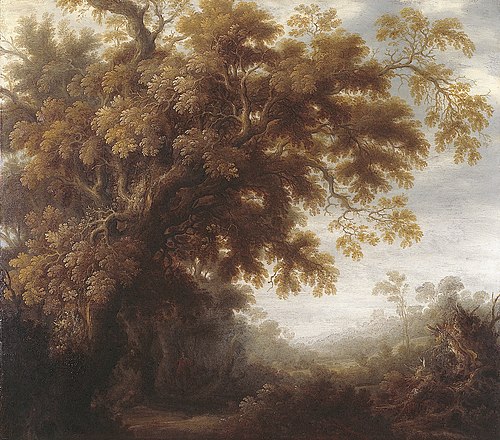 Forest landscape, 1636, Joachim Govertsz Camphuysen