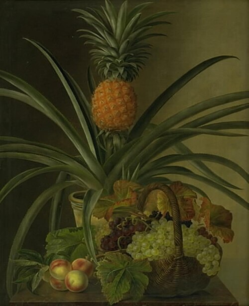 En ananas og andre frugter, 1832, Johan Laurentz Jensen