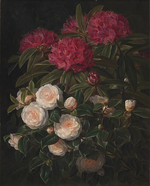 Kamelier og rhododendron, 1852, Johan Laurentz Jensen