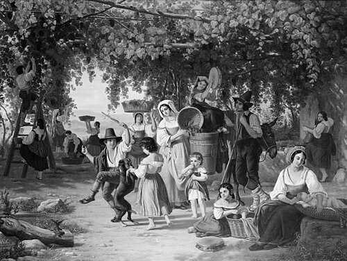 Vintage in Italy, 1842, Johan Peter Raadsig