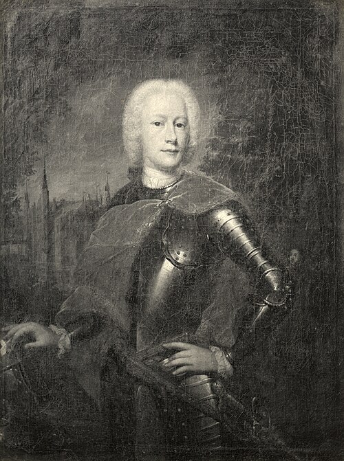 Portrait of Diederik Jacob van Tuyll van Serooskerken (1707-1776), 1735, Johannes Vollevens