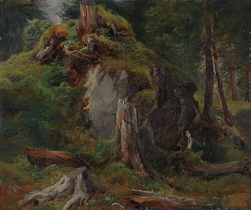 Rocher couvert de mousses et troncs d'arbres abattus, 1842, Alexandre Calame