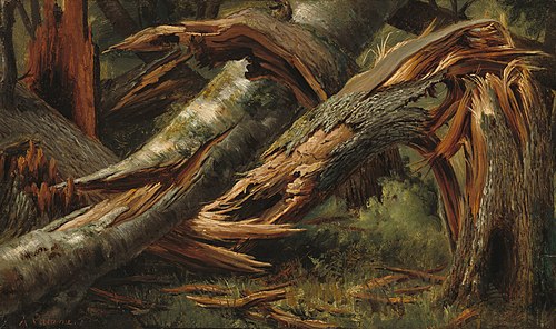 Arbre tombé, 1842, Alexandre Calame