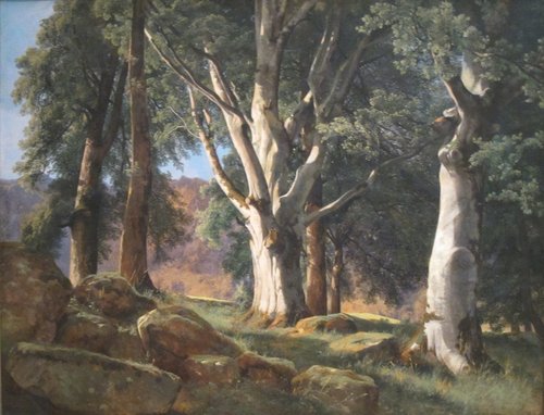 The Sycamores, 1854, Alexandre Calame