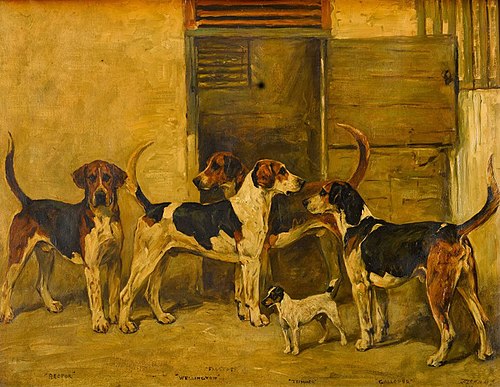 Fox Hounds And A Terrier, , John Emms