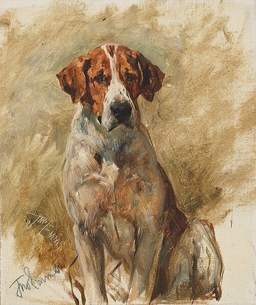 Study of a Hound, , John Emms