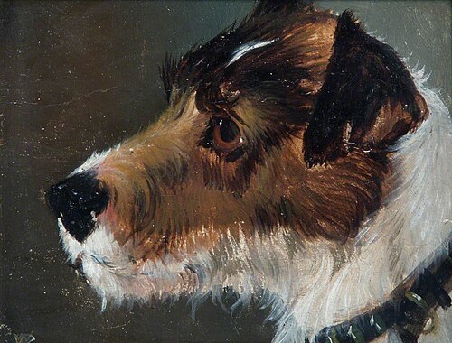 Head of a Rough-Haired Terrier, , John Emms