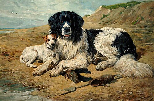 Dogs Watching Bathers, , John Emms