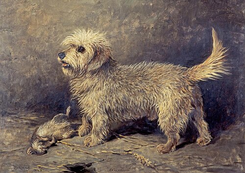 Callum, 1895, John Emms