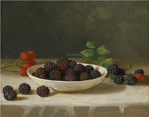 Blackberries, , John F. Francis
