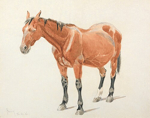 "Fanny", July 26, 1886, 1886, Frederick Tayler
