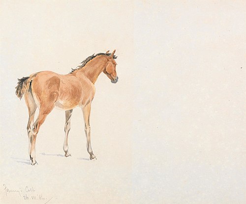 "Fanny's Colt", July 26, 1886, 1886, Frederick Tayler