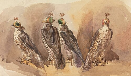 Four Hooded Falcons, , Frederick Tayler