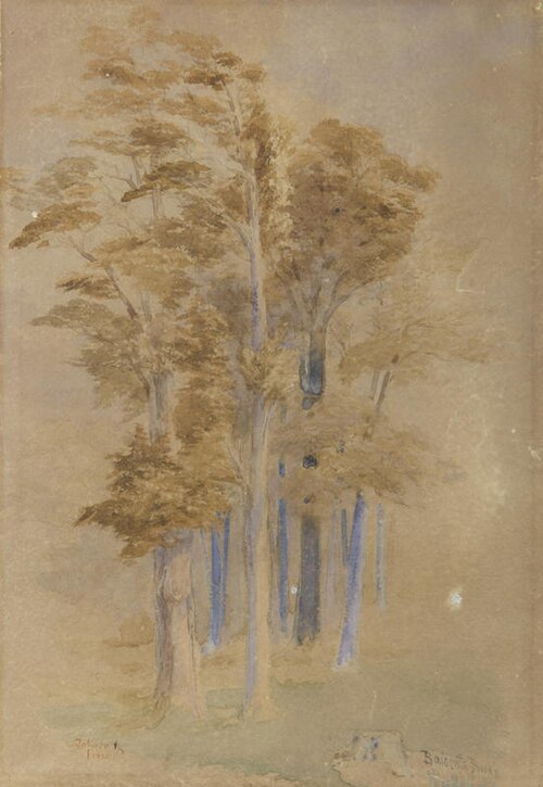 Totara and Pine, Baigent's Bush, Wakefield, , John Gully