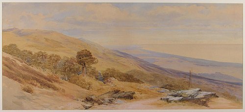Looking Towards the Mouth of the Buller, , John Gully