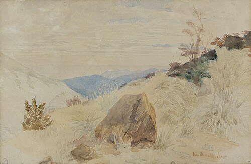 Dun Mountain House, , John Gully