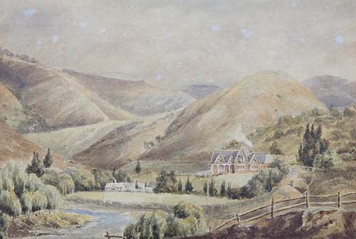 Sunnyside Nelson, , John Gully