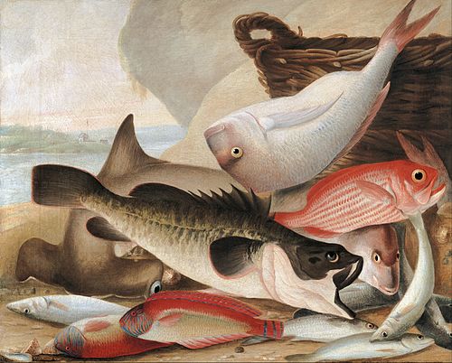 Fish catch and Dawes Point, Sydney Harbour, 1813, John Lewin
