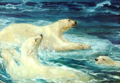 Adrift, 1905, John Macallan Swan