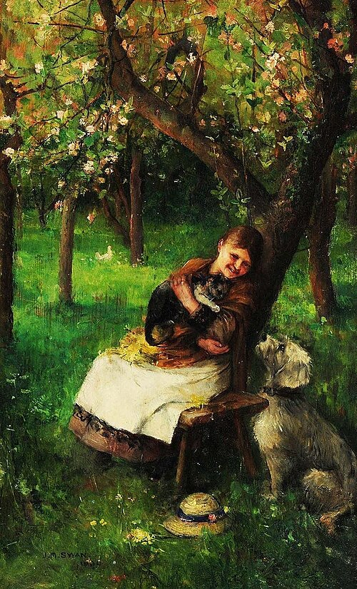 A comfy cat, 1889, John Macallan Swan