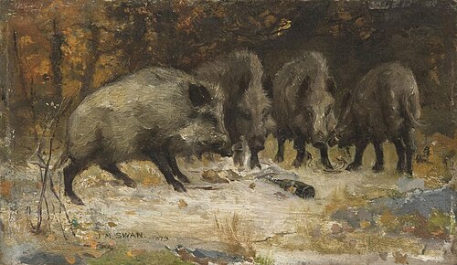 Wild Boars, 1879, John Macallan Swan