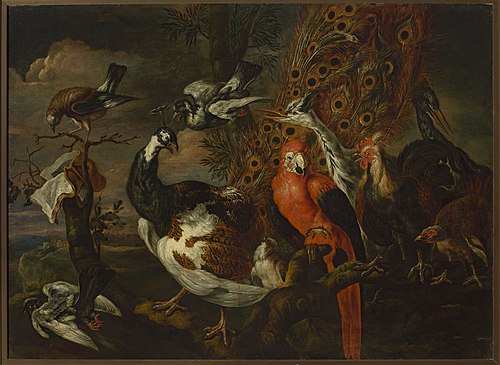 Bird concert, 1650, Jan Fyt